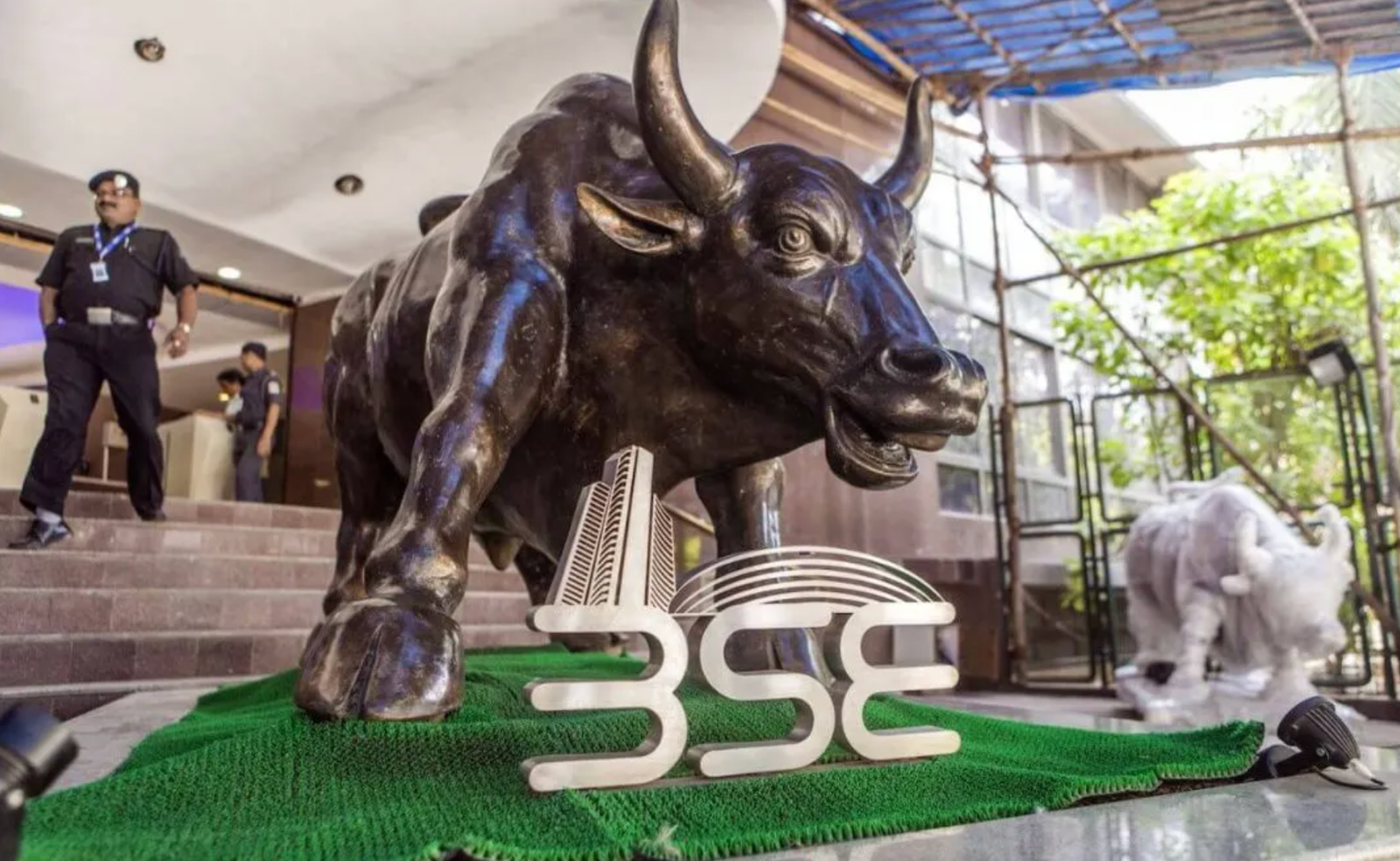 Stocks to Buy: Zomato, TCS and 4 other stocks that can deliver 50% returns